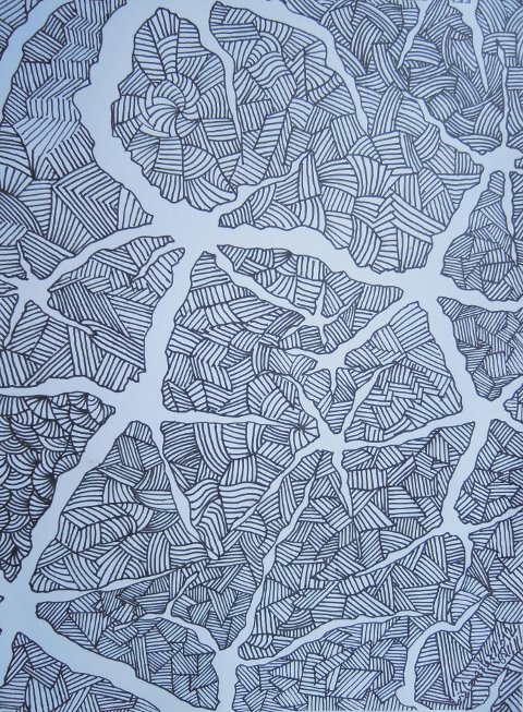 Lines and connections